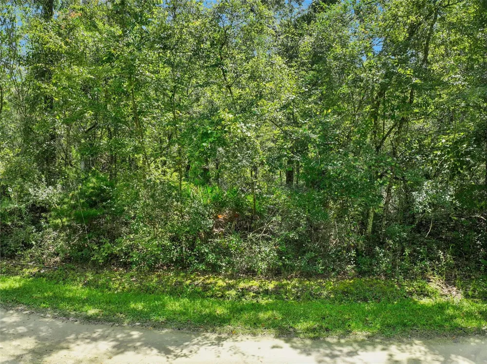 152ND PL Wellborn, FL 32094