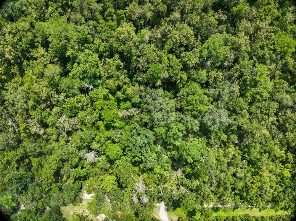 152ND PL Wellborn, FL 32094