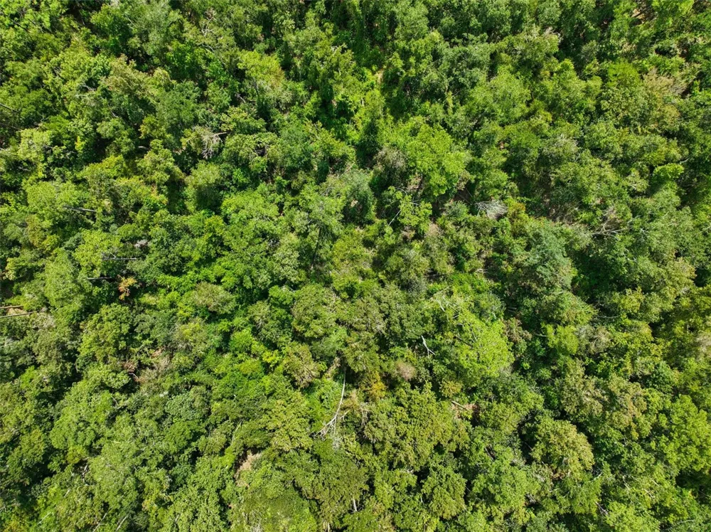 152ND PL Wellborn, FL 32094