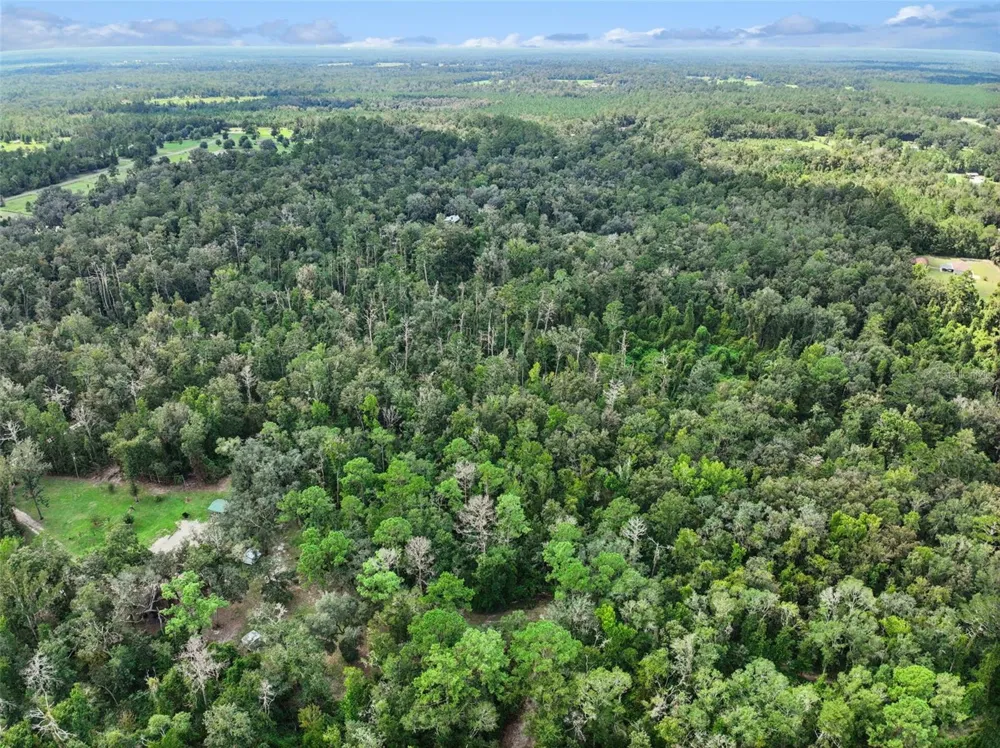 152ND PL Wellborn, FL 32094