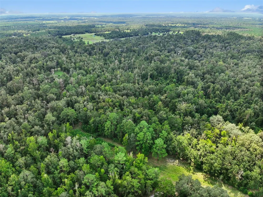 152ND PL Wellborn, FL 32094