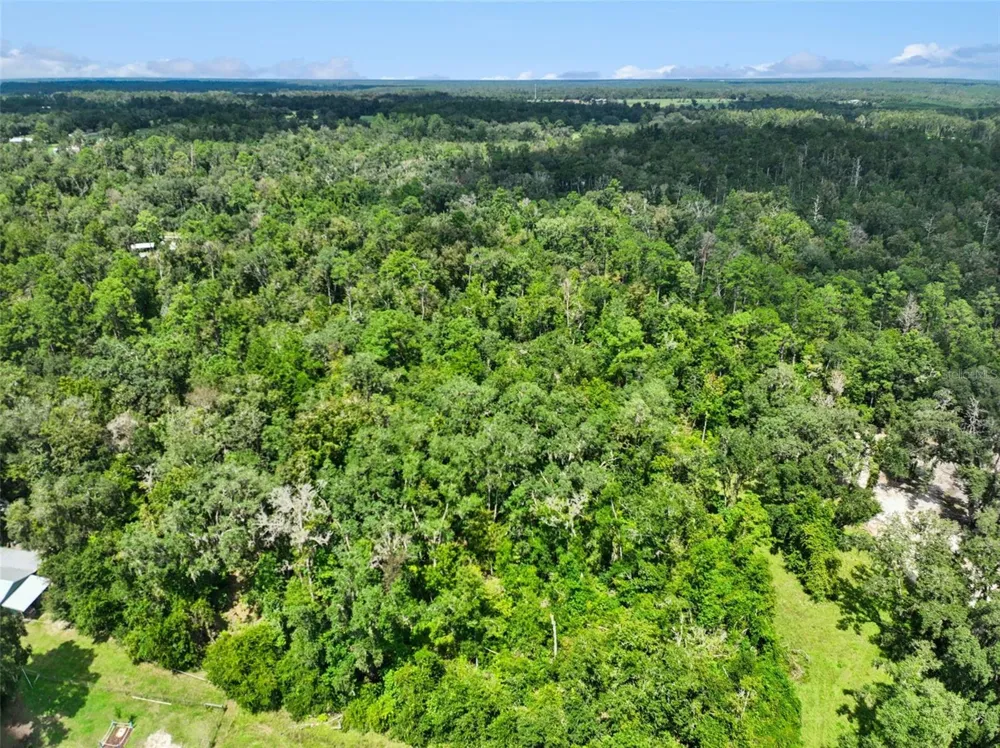 152ND PL Wellborn, FL 32094