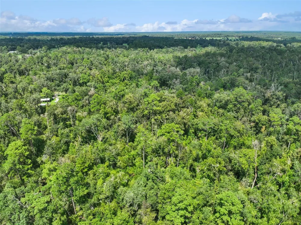 152ND PL Wellborn, FL 32094