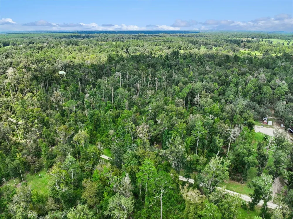152ND PL Wellborn, FL 32094