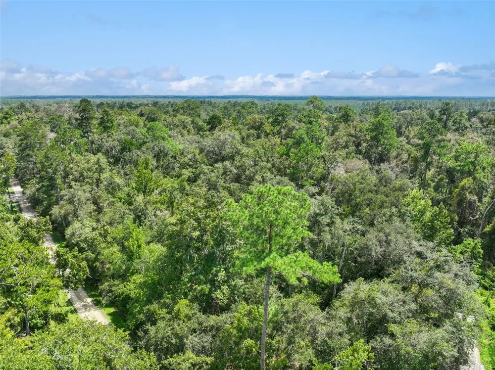 152ND PL Wellborn, FL 32094