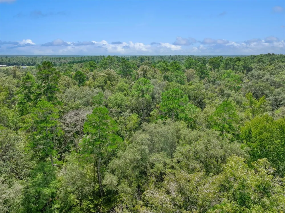 152ND PL Wellborn, FL 32094
