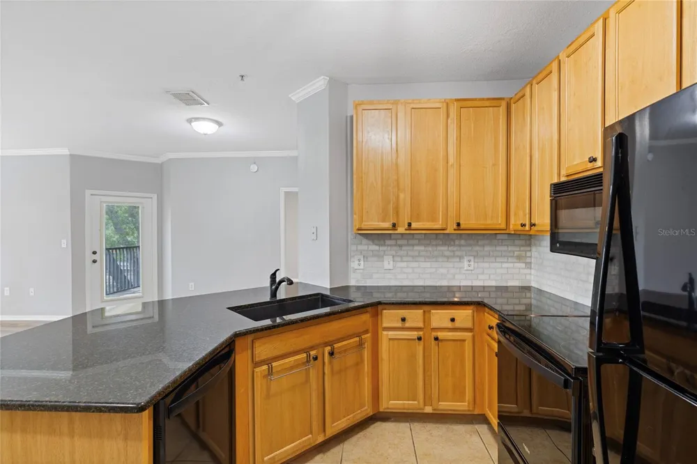 10105 COURTNEY OAKS CIRCLE #203 Tampa, FL 33619