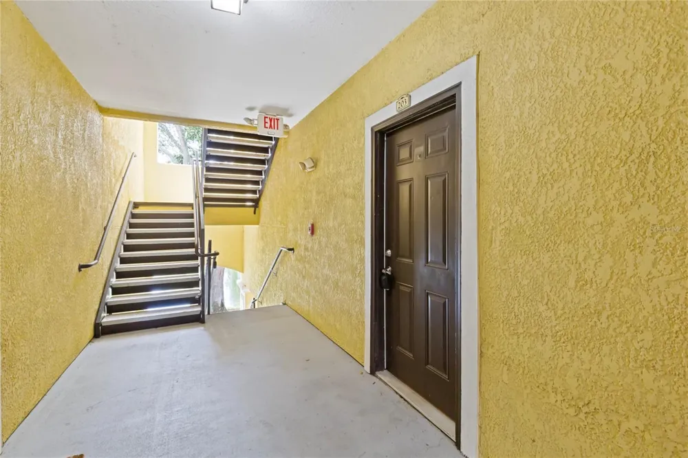 10105 COURTNEY OAKS CIRCLE #203 Tampa, FL 33619