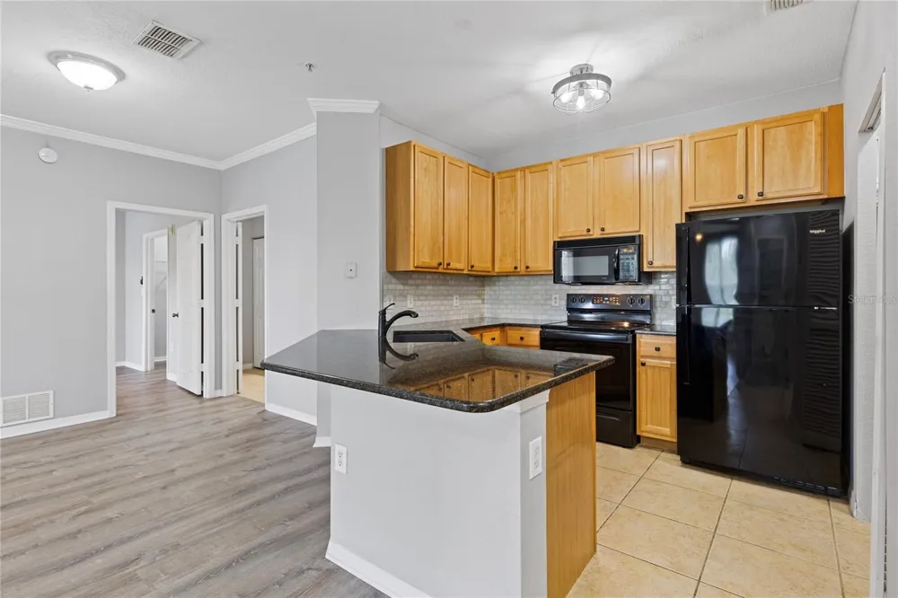 10105 COURTNEY OAKS CIRCLE #203 Tampa, FL 33619