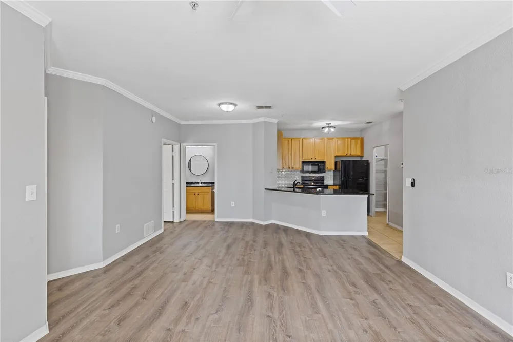 10105 COURTNEY OAKS CIRCLE #203 Tampa, FL 33619
