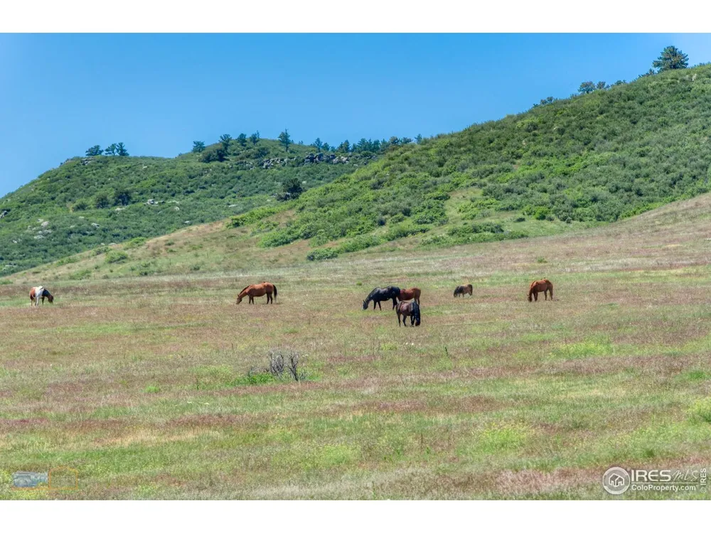 0 County Road 8E Berthoud, CO 80513