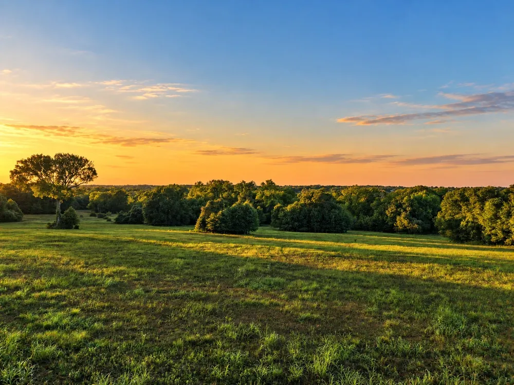 10277 Mount Falls School Road Washington, TX 77880