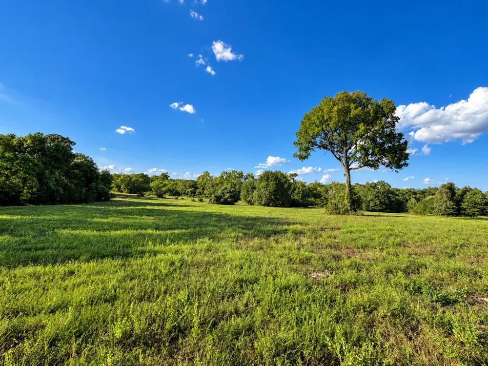 10277 Mount Falls School Road Washington, TX 77880
