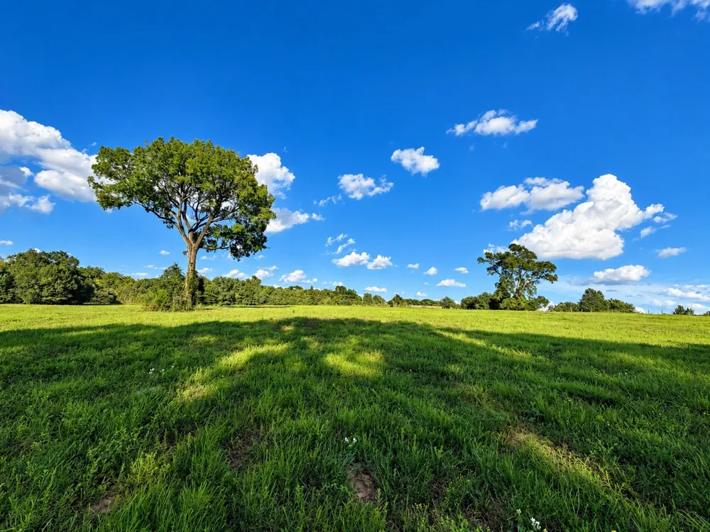10277 Mount Falls School Road Washington, TX 77880