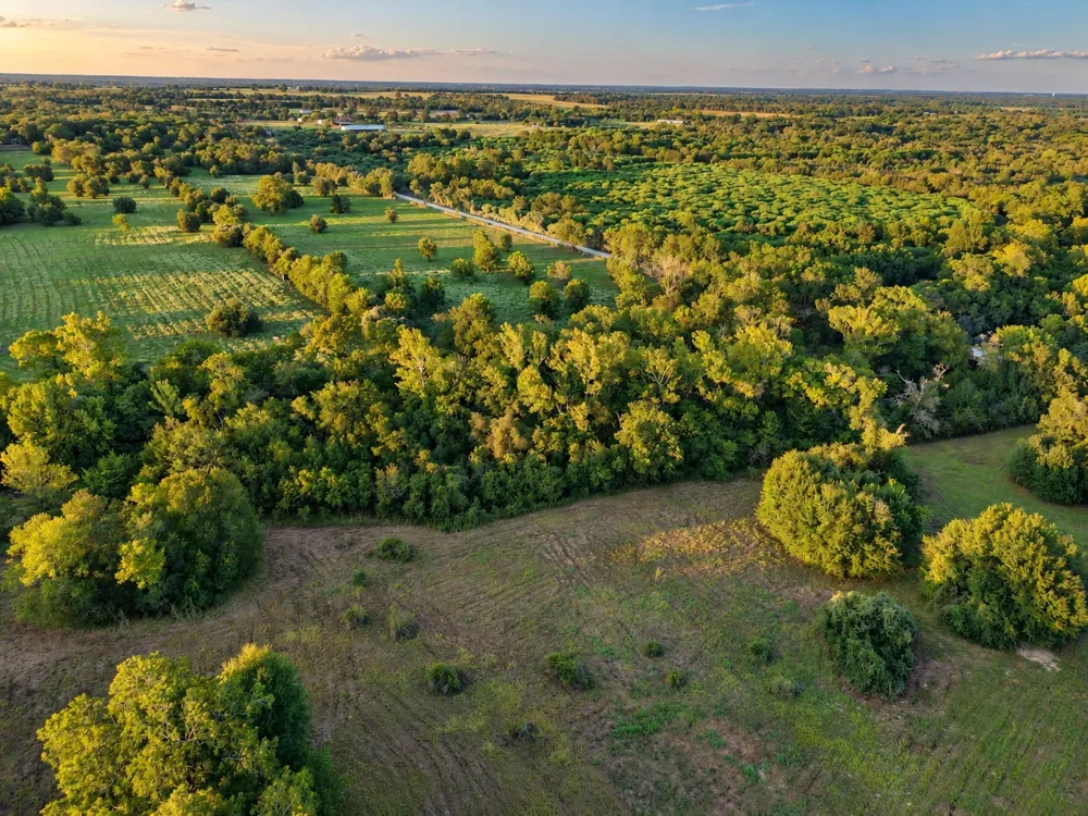 10277 Mount Falls School Road Washington, TX 77880