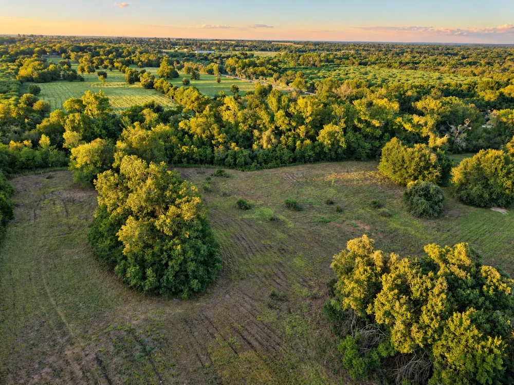 10277 Mount Falls School Road Washington, TX 77880