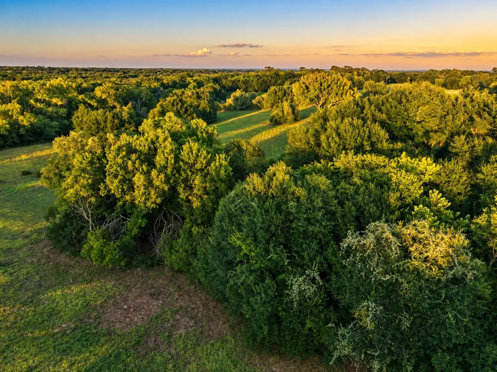 10277 Mount Falls School Road Washington, TX 77880