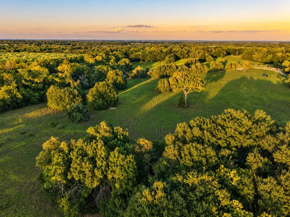 10277 Mount Falls School Road Washington, TX 77880