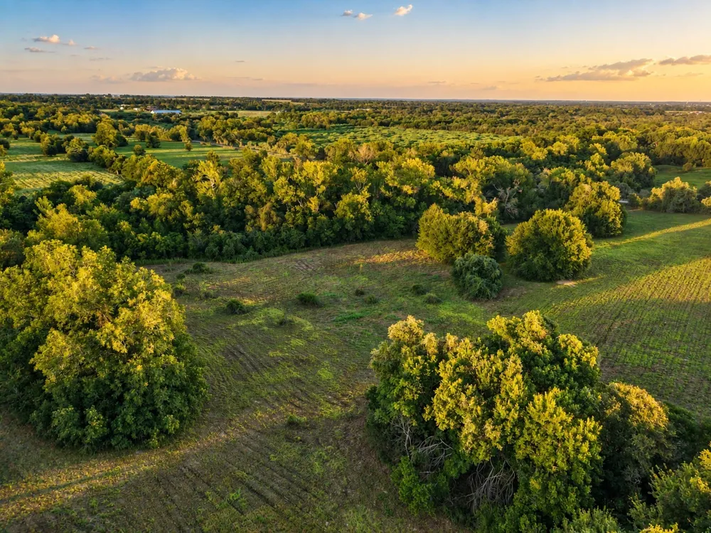 10277 Mount Falls School Road Washington, TX 77880