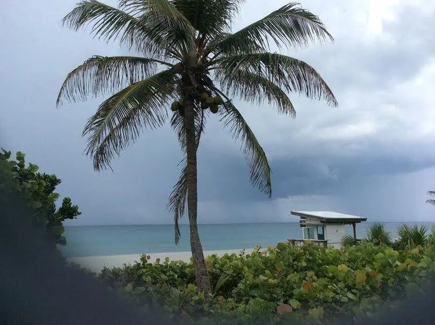350 Horizons E #106 Boynton Beach, FL 33435