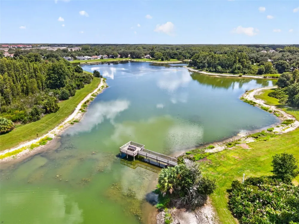 9136 HIGHLAND RIDGE WAY Tampa, FL 33647
