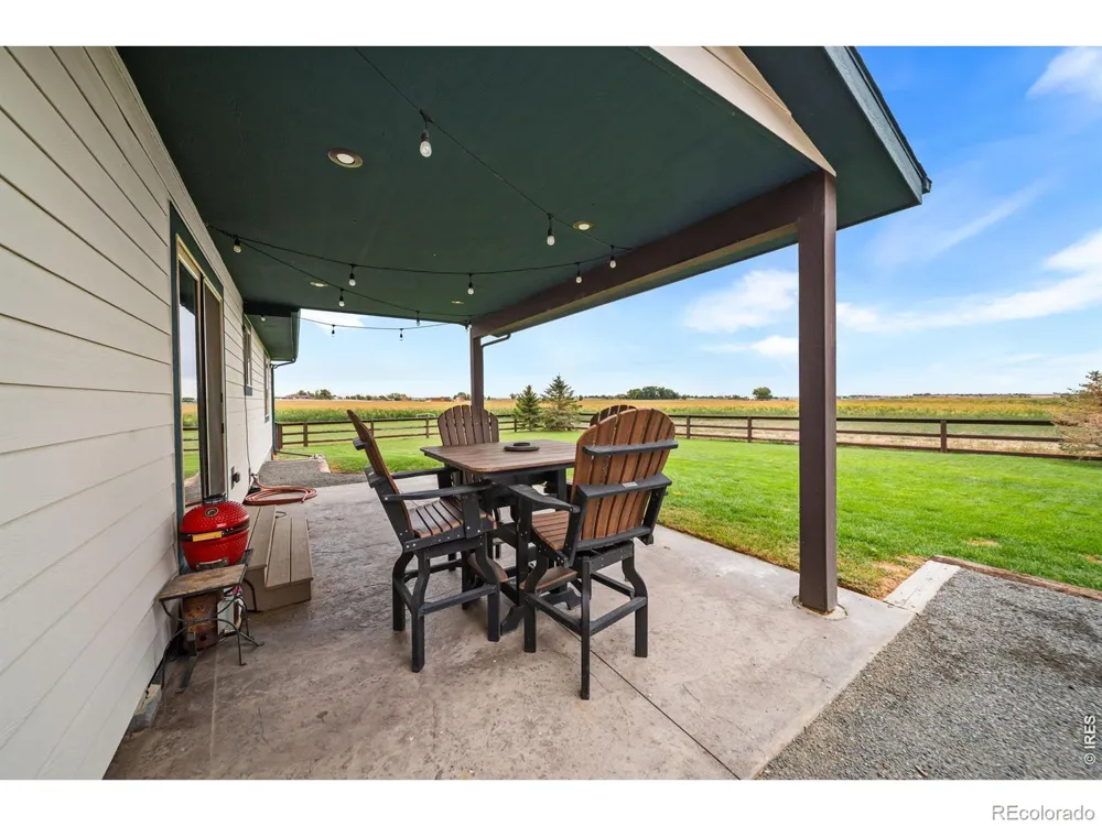 1667 E County Road 64 Wellington, CO 80549