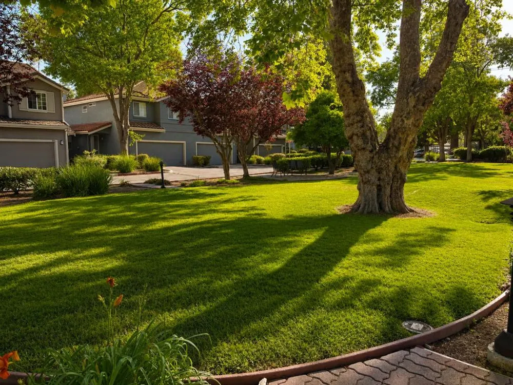 105 Chalet Woods Circle Campbell, CA 95008