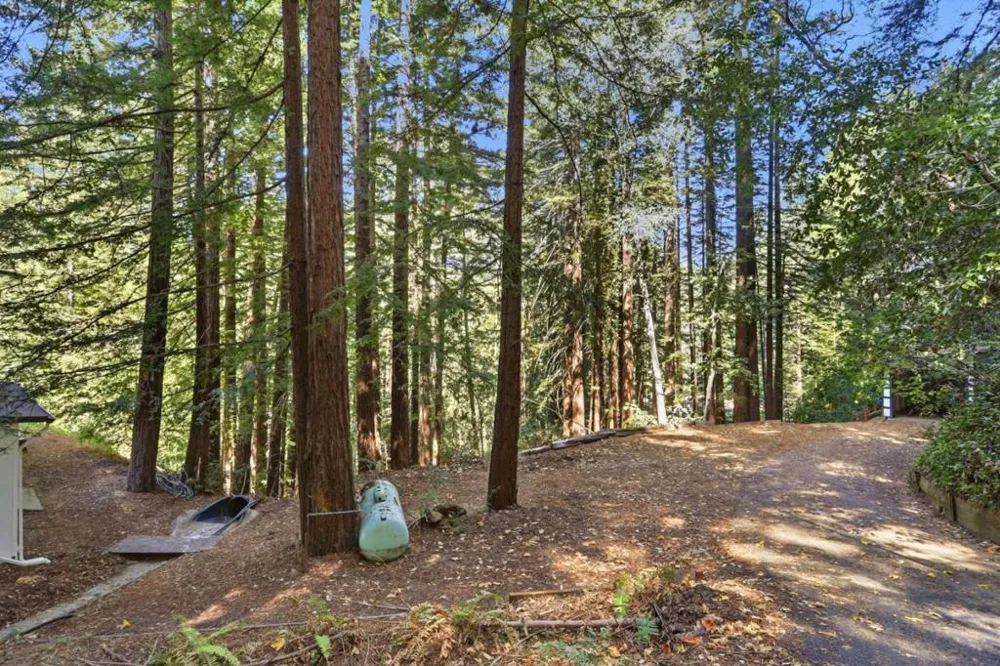 325 Woodland Drive Scotts Valley, CA 95066