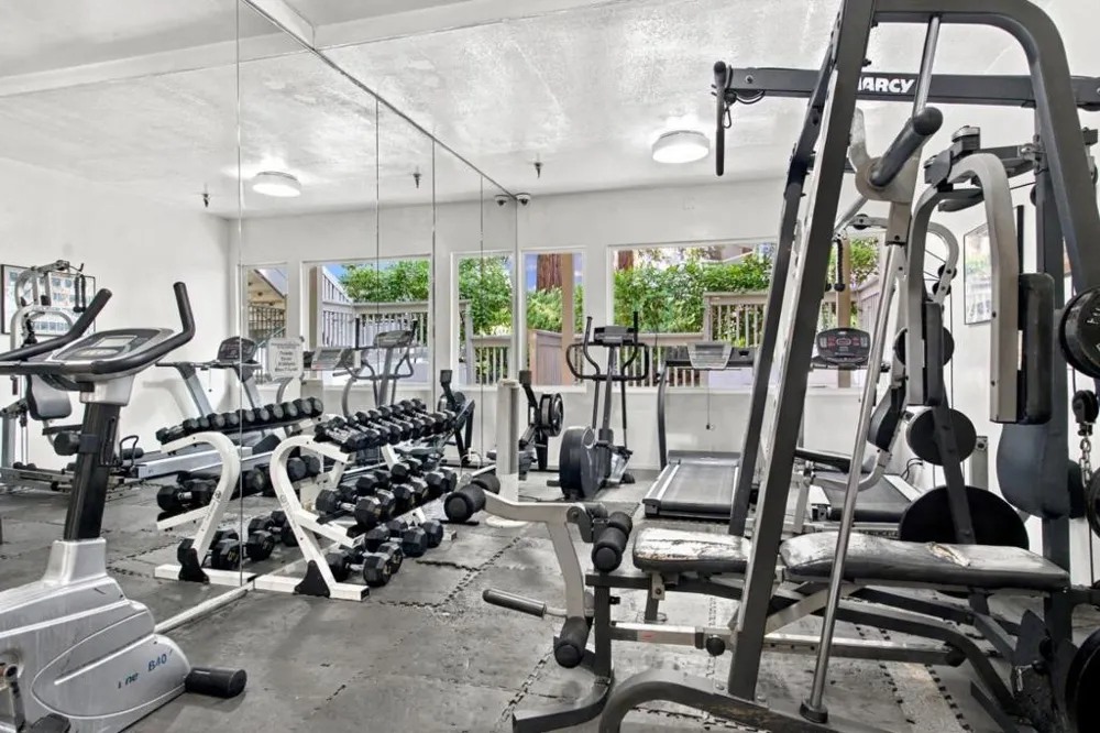 19111 Vineyard Saratoga, CA 95070