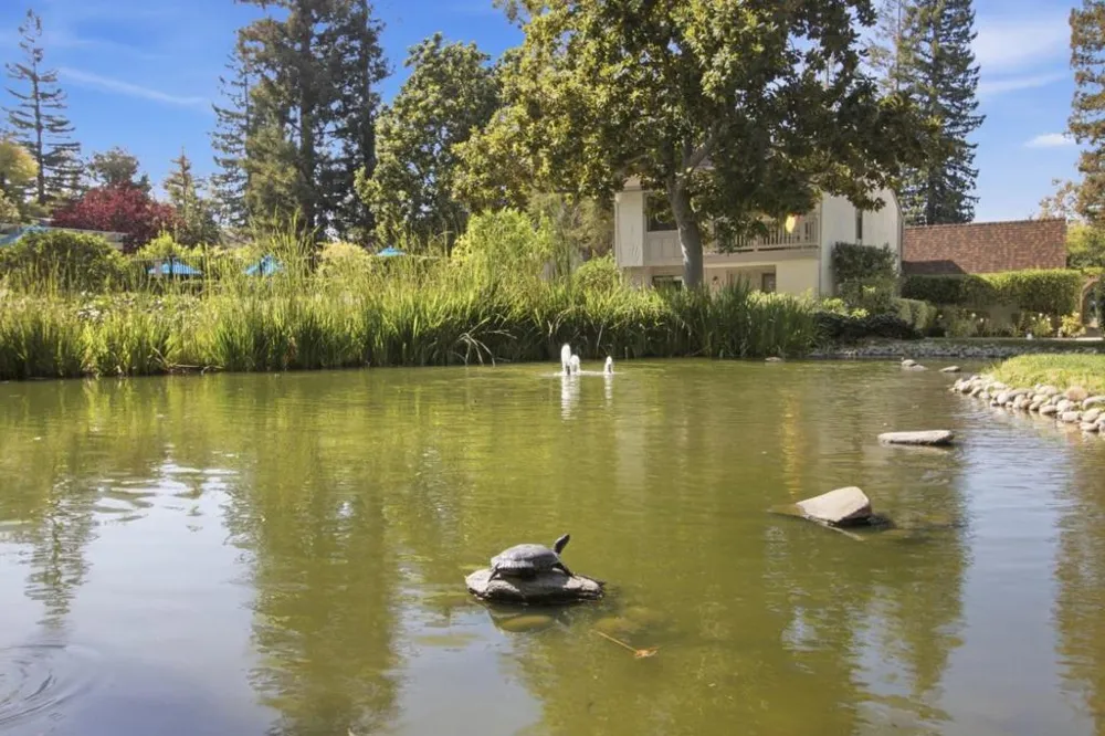 19111 Vineyard Saratoga, CA 95070