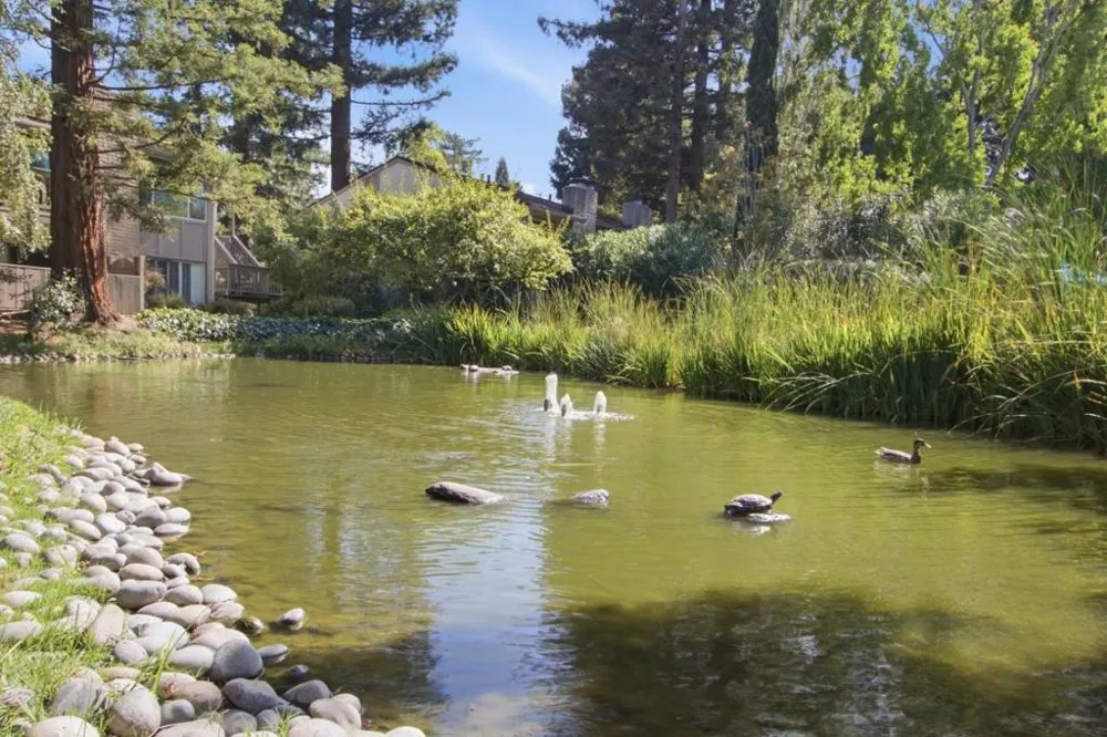 19111 Vineyard Saratoga, CA 95070