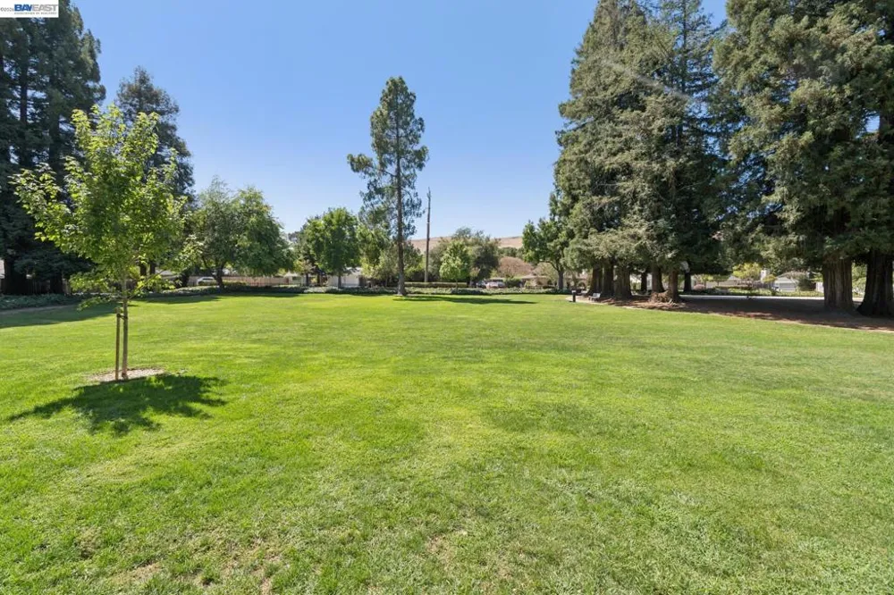 24 Velasco Ct Danville, CA 94526