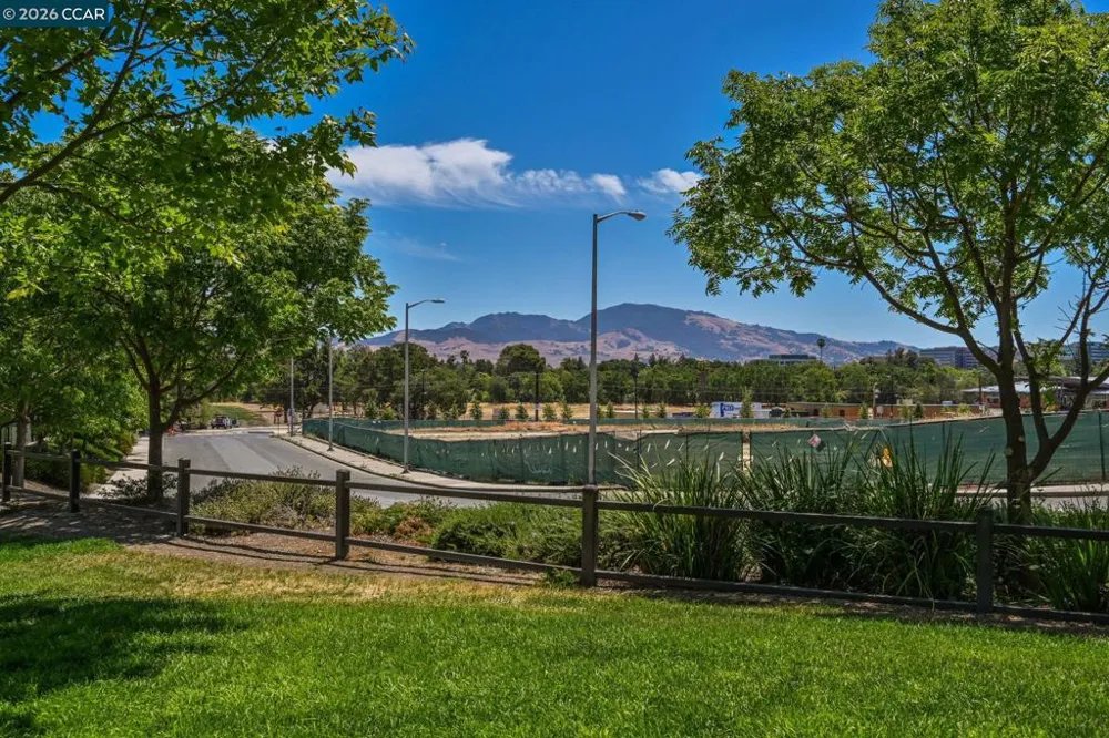 3173 Manor Ave Walnut Creek, CA 94597