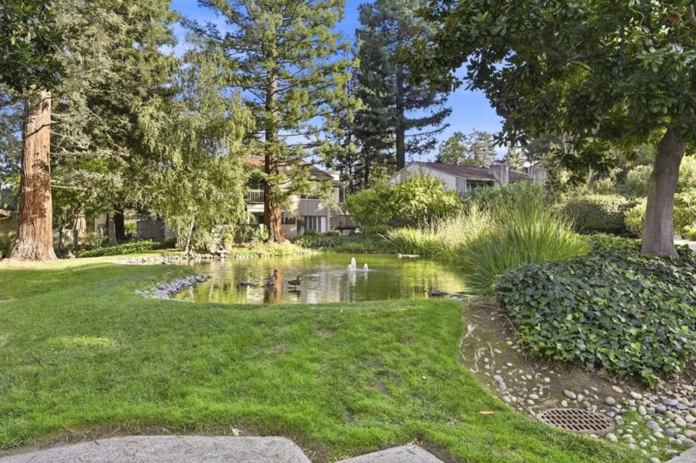 19554 Vineyard Lane Saratoga, CA 95070
