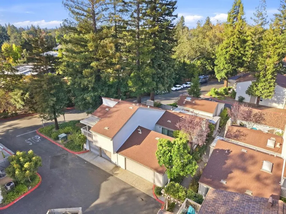 19554 Vineyard Lane Saratoga, CA 95070