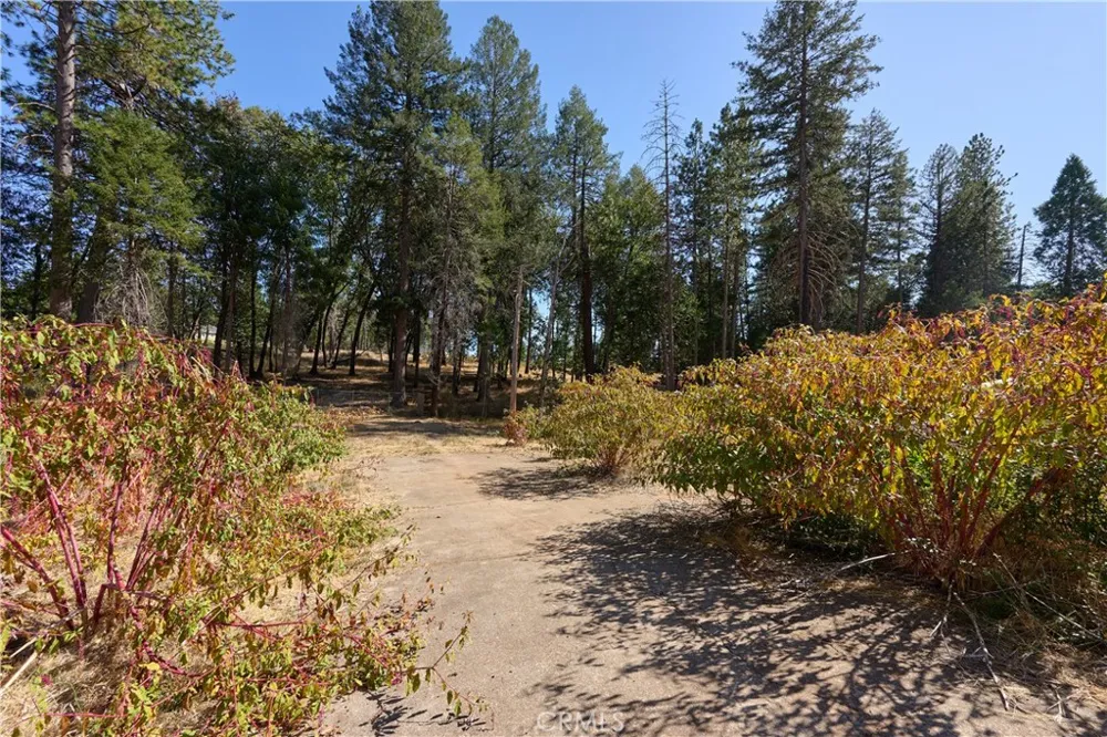 14148 Norwich Magalia, CA 95954