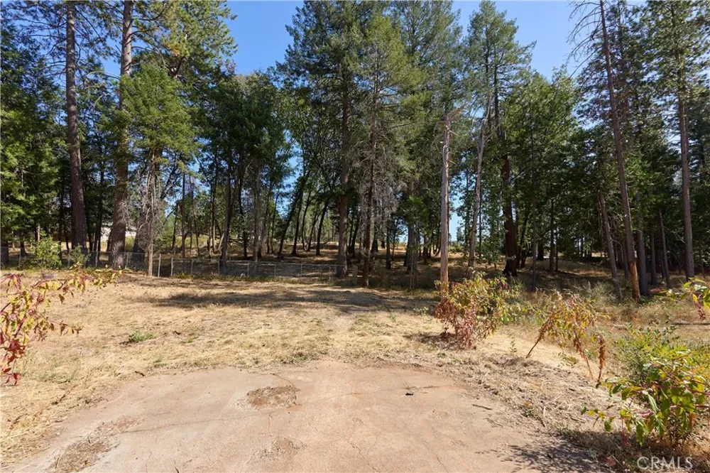 14148 Norwich Magalia, CA 95954