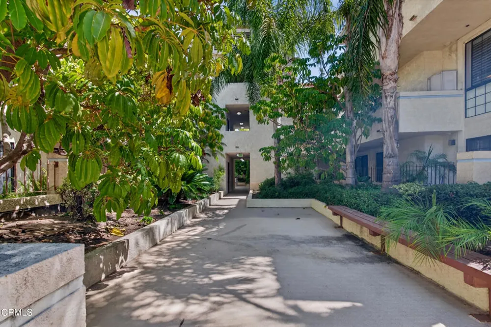 245 S Holliston Avenue #309 Pasadena, CA 91106