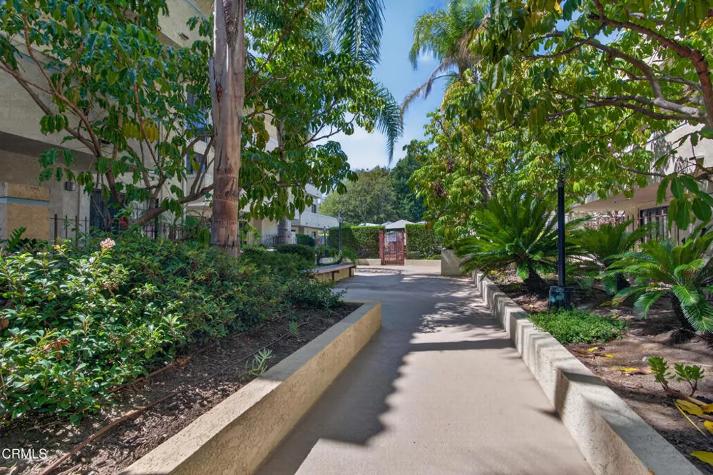 245 S Holliston Avenue #309 Pasadena, CA 91106