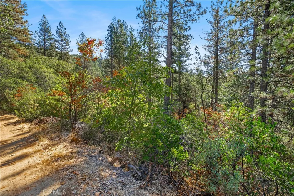 17865 Ponderosa Oroville, CA 95966