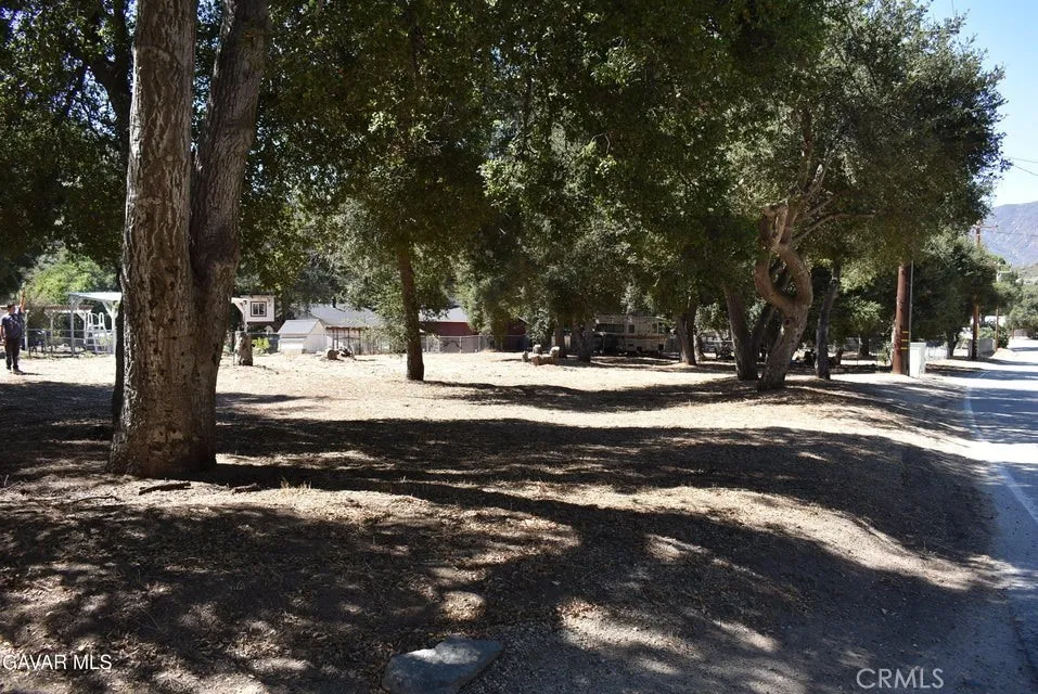 15206 punky Canyon & Calle El Bosque Green Valley, CA 91350