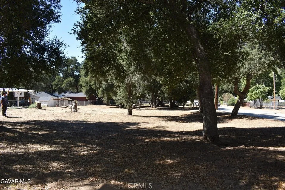 15206 punky Canyon & Calle El Bosque Green Valley, CA 91350