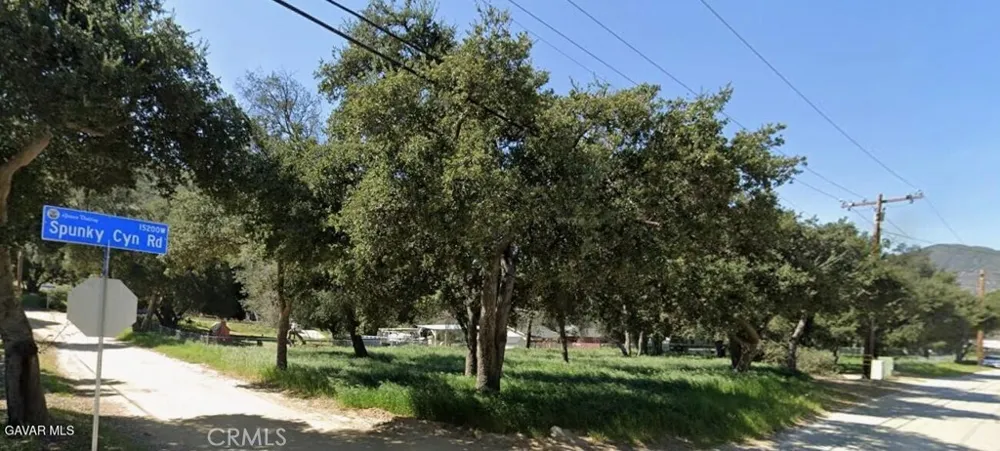 15206 punky Canyon & Calle El Bosque Green Valley, CA 91350