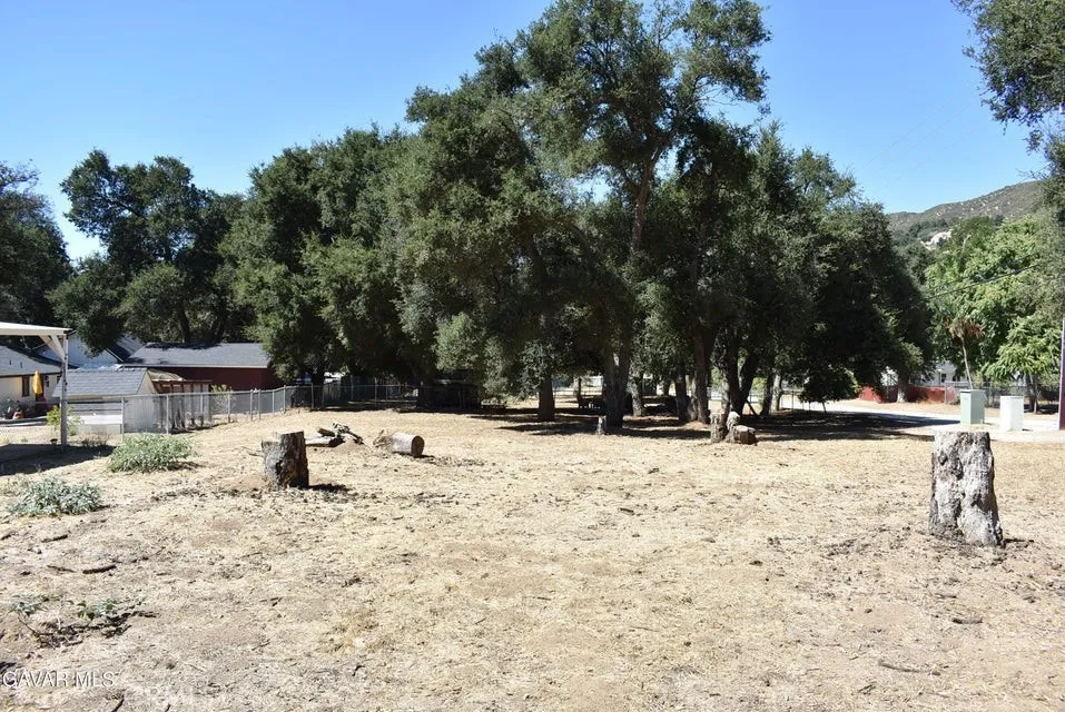 15206 punky Canyon & Calle El Bosque Green Valley, CA 91350