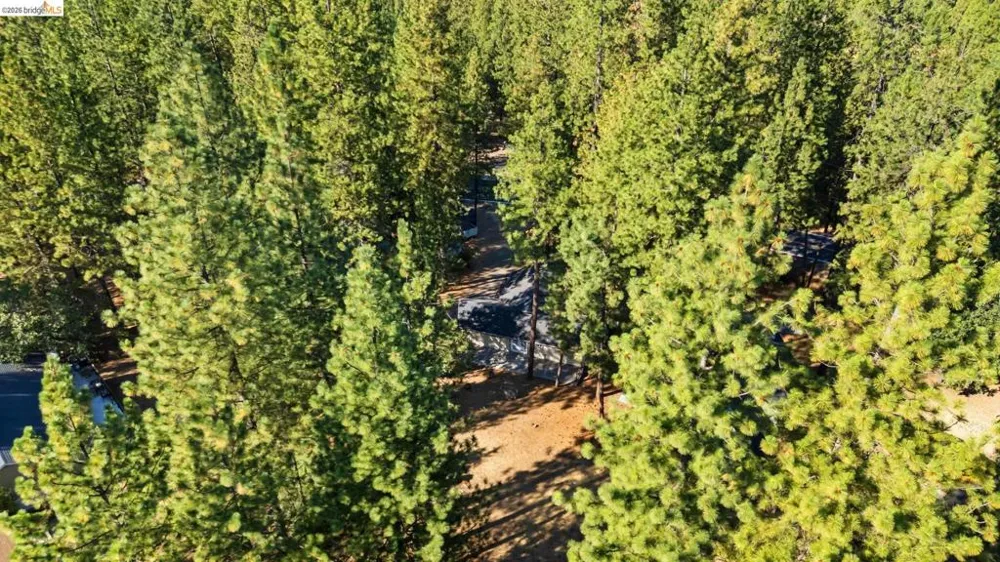 19369 Ferretti Rd Groveland, CA 95321