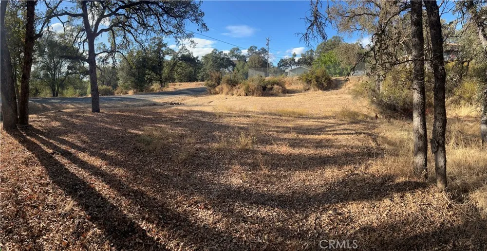 16142 23rd Clearlake, CA 95422