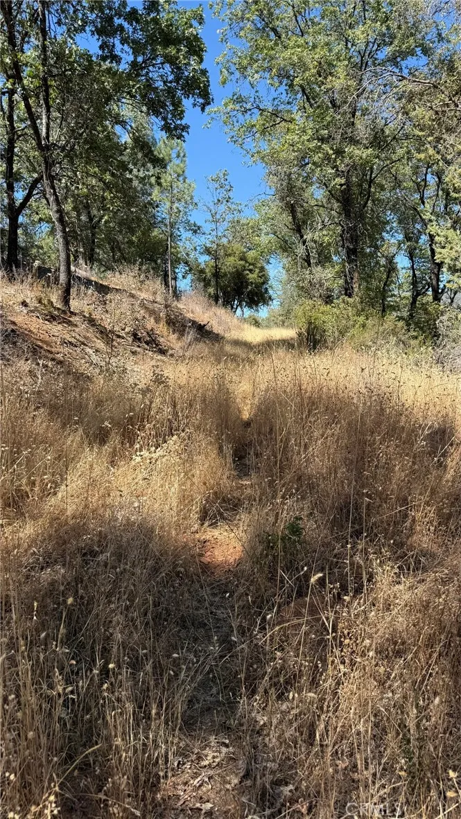 163 Oak Road Midpines, CA 95338