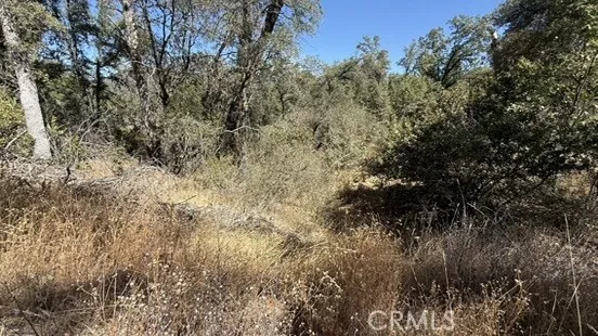 163 Oak Road Midpines, CA 95338