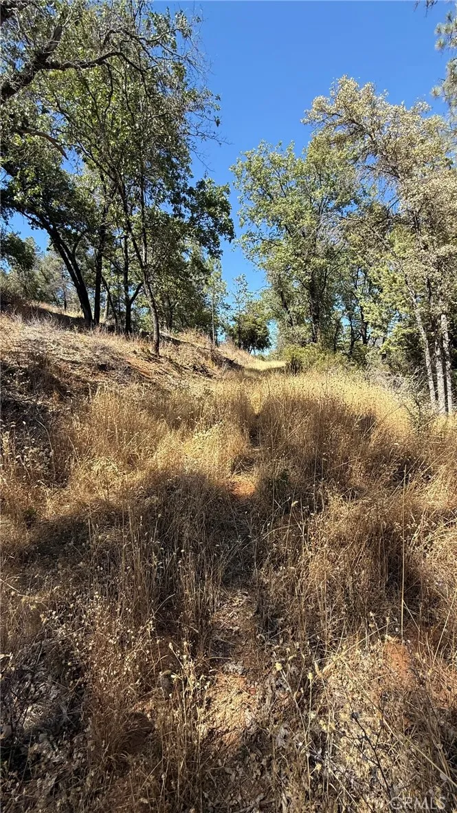163 Oak Road Midpines, CA 95338