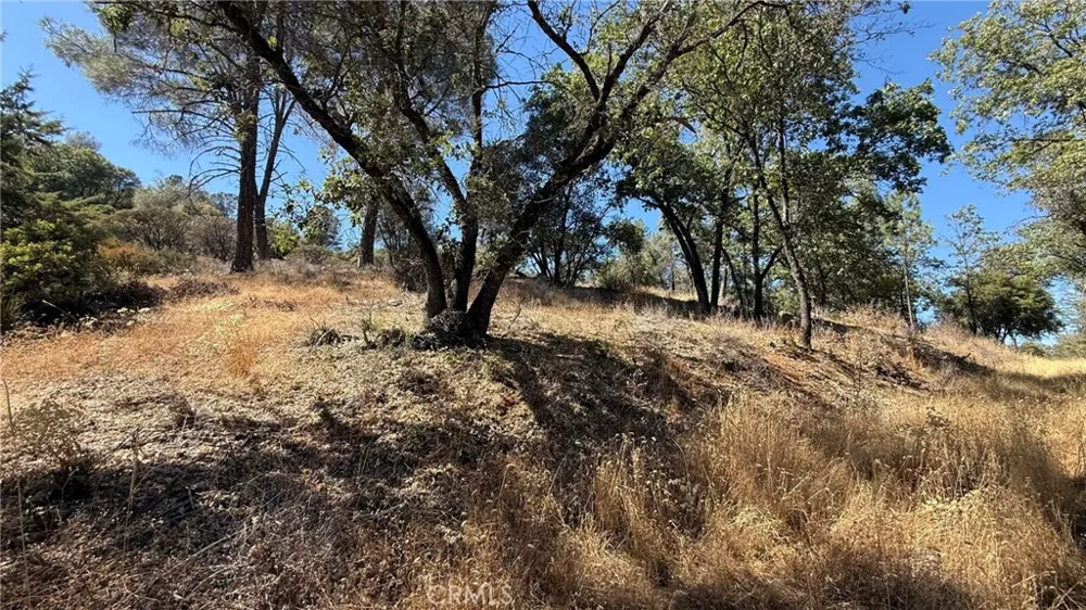 163 Oak Road Midpines, CA 95338